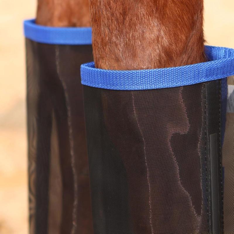 31BE Sepatu Terbang Kuda Pelin - Brushing Boot Horse ulasan dan harga