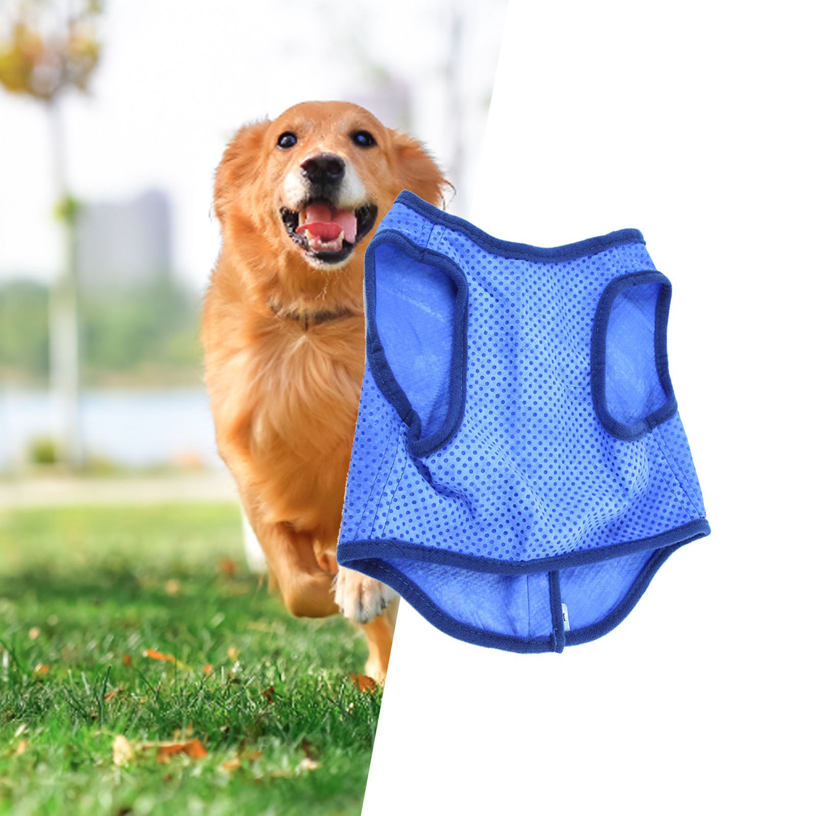 Rompi pendingin anjing bernapa - Outdoor Sport Coat ulasan dan harga