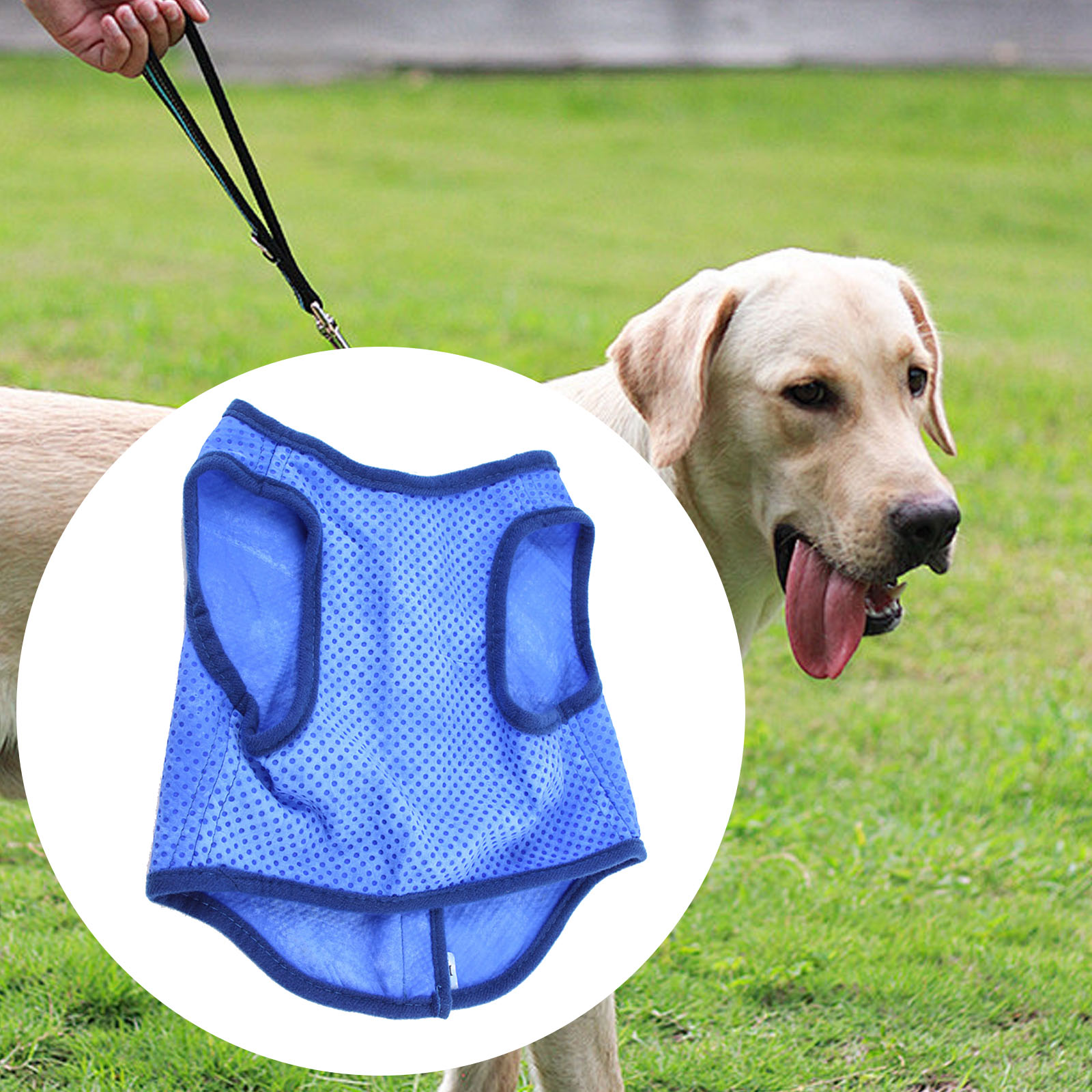 Rompi pendingin anjing bernapa - Outdoor Sport Coat ulasan dan harga