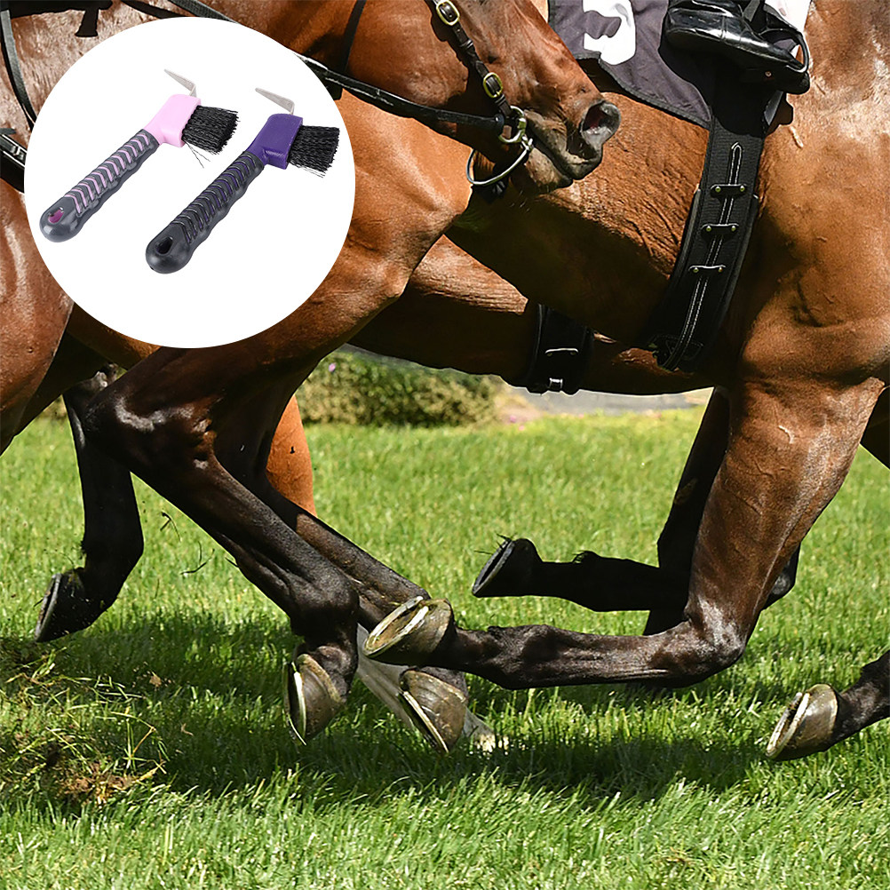 2 Buah Sikat Pembersih Kuku Ku - Brushing Boot Horse ulasan dan harga