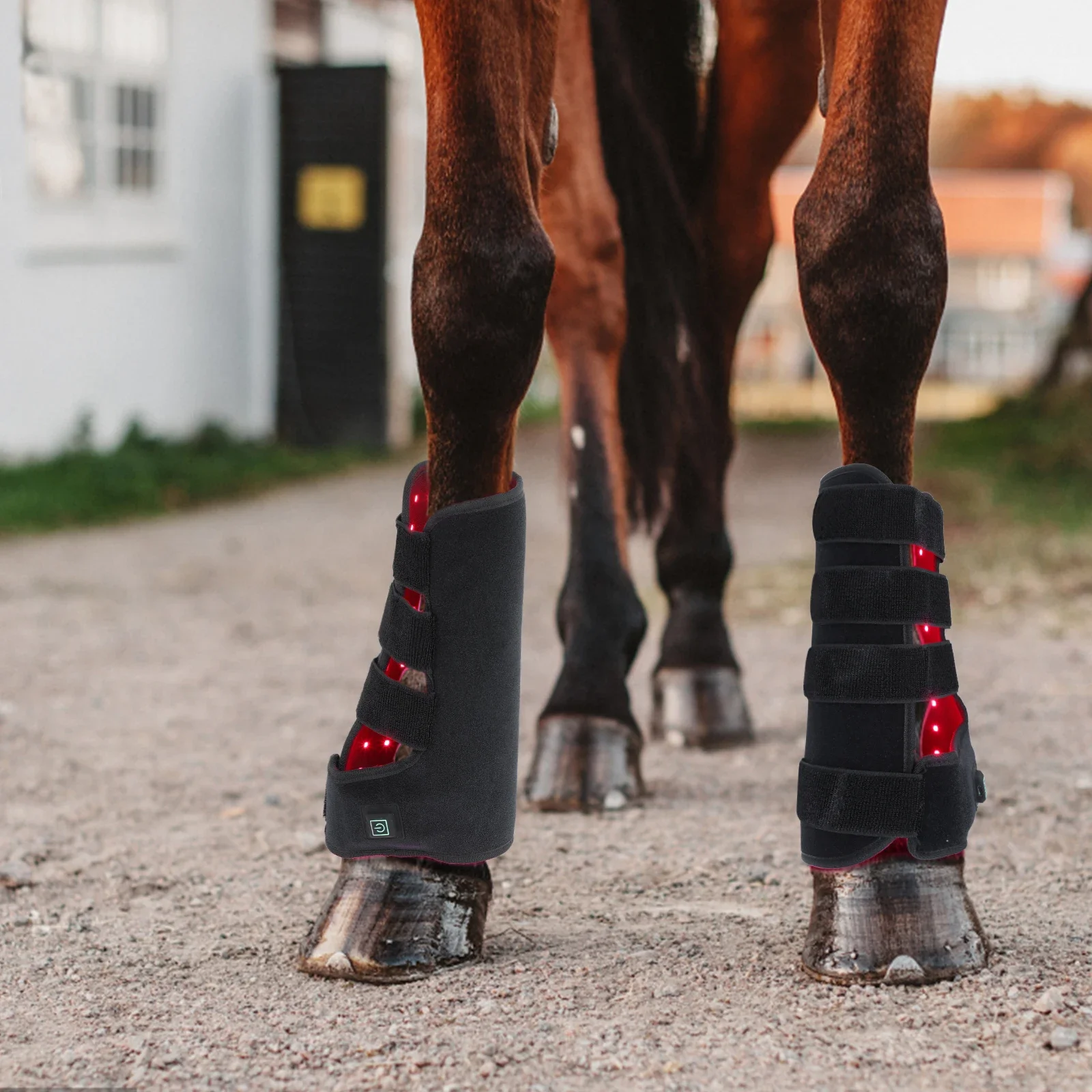 Produk Terapi Cahaya Merah 660 - Brushing Boot Horse ulasan dan harga